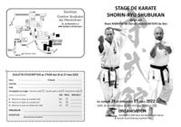 1 Papillon stage de Karate adultes mars 2022